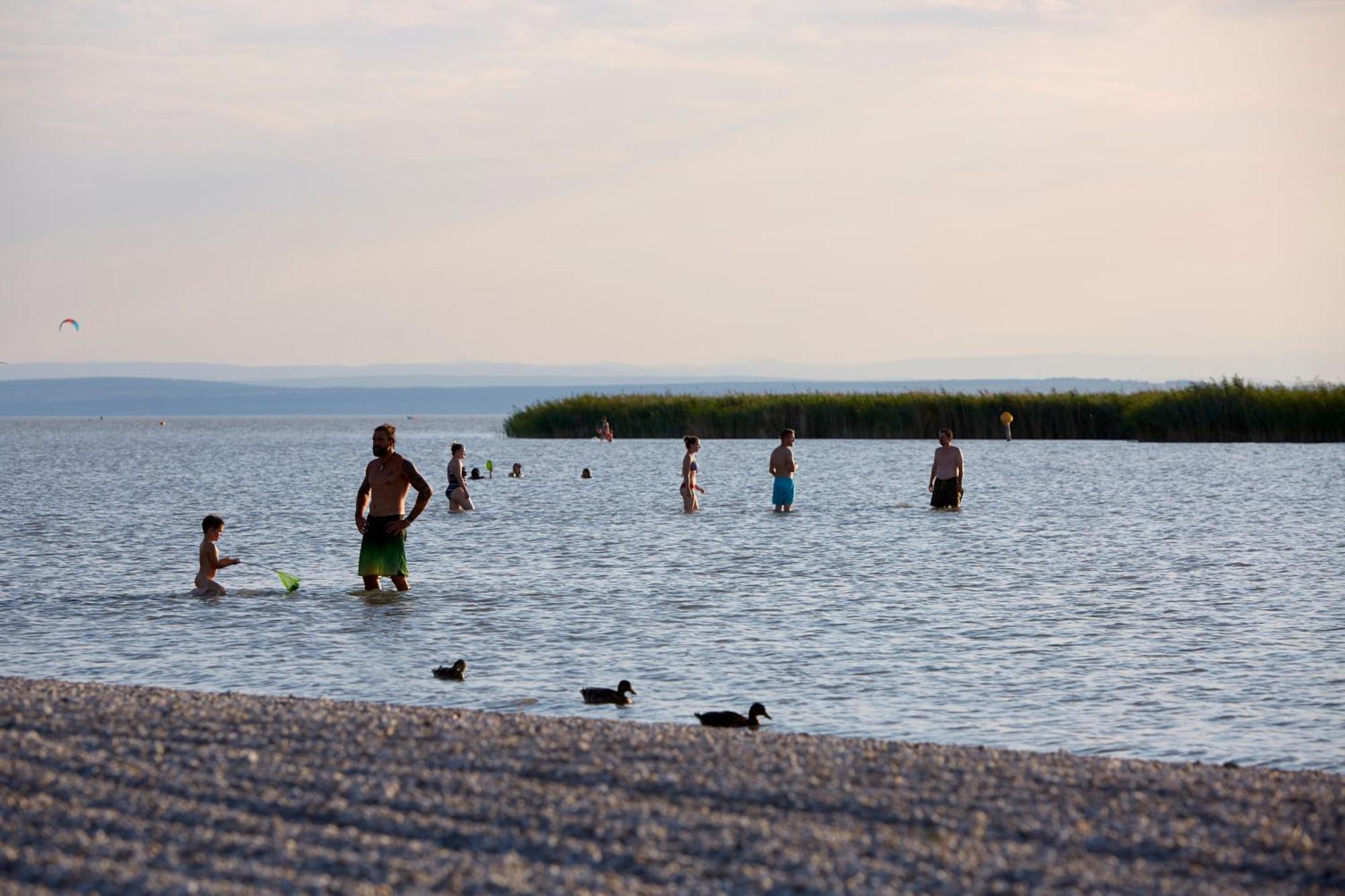 Seewirt & Haus Attila Podersdorf am See Esterno foto